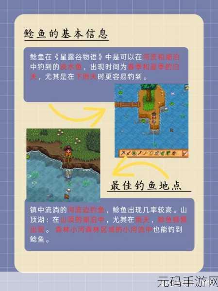 星露谷物语，掌握鲶鱼垂钓秘籍，探寻最佳垂钓地点