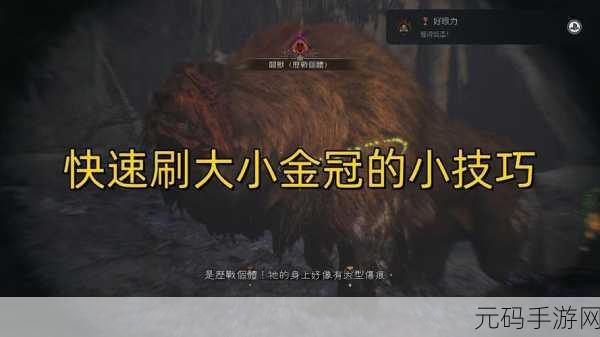 怪物猎人手游,大小金冠的荣耀之路迎来全新篇章