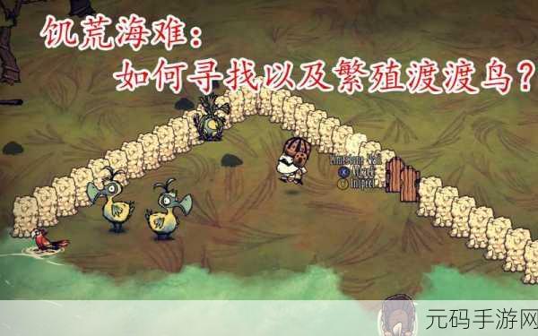 探秘饥荒海难新版本，渡渡鸟岛生存秘籍大揭秘