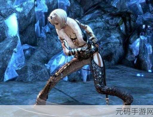 剑灵战斗之魂,揭秘最低游戏FPS背后的秘密