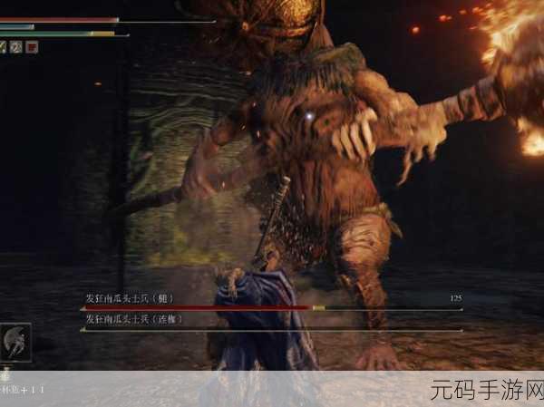 艾尔登法环,探索神秘世界,揭秘发狂南瓜头士兵的踪迹