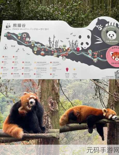 太极熊猫3猎龙,蜥蜴矿洞副本全方位深度解析与详细攻略指南