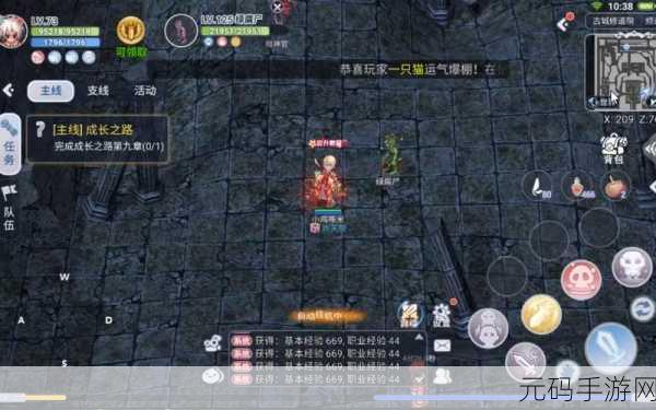 2025年仙境传说手游卡片掉落机制全面解析