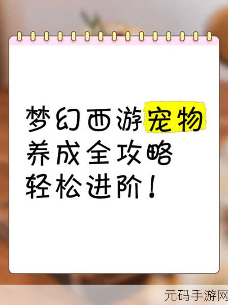 梦幻西游手游宠物进阶秘籍曝光,助力玩家战力飙升!