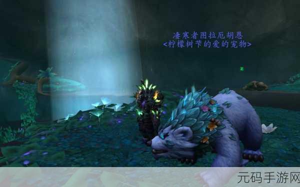 魔兽世界手游资讯,猎人宠物解放与丢弃指南