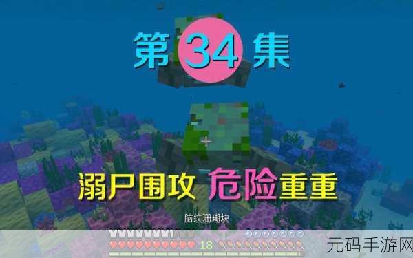 我的世界活鱼养鱼全攻略,打造你的专属水族世界