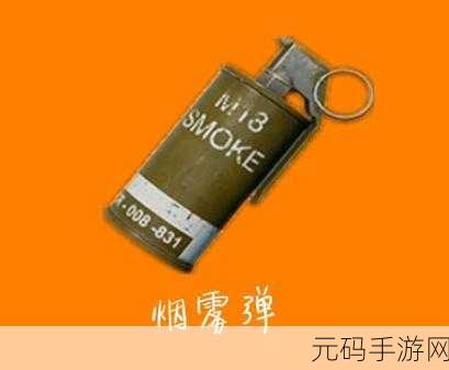 绝地求生,烟雾弹的威力解析、效果属性图鉴及资源管理策略艺术