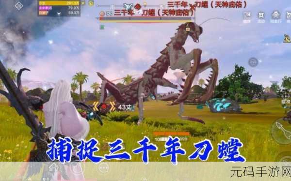 妄想山海刀螳狩猎全攻略,高效刷点与实战技巧深度解析