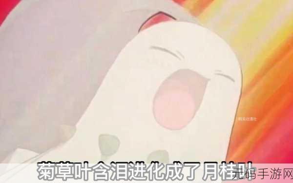 菊草叶绝招之秘,全新口袋妖怪手游版本更新深度解析