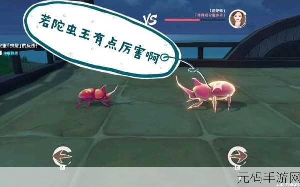 原神荒泷斗虫第五天高分攻略，详解无止境斗虫之路