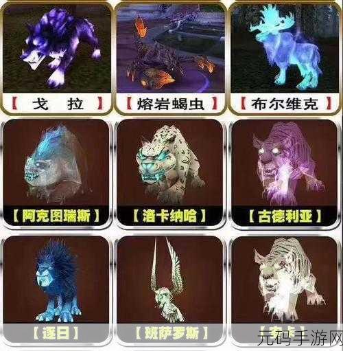 揭秘魔兽世界戈拉等级奥秘,全新手游资讯速递