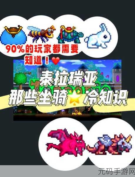 泰拉瑞亚鱼鲨坐骑全攻略，获取、管理与价值最大化